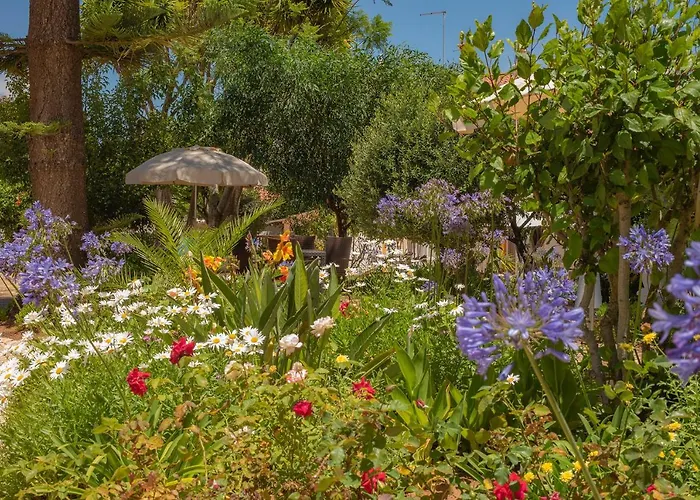 Apartamento With Garden View In *